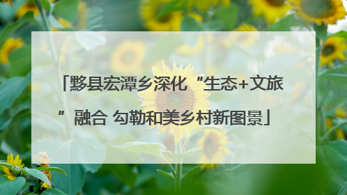 黟县宏潭乡深化“生态+文旅”融合 勾勒和美乡村新图景